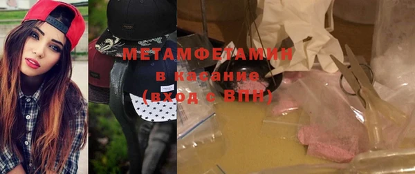 хмурый Алексин