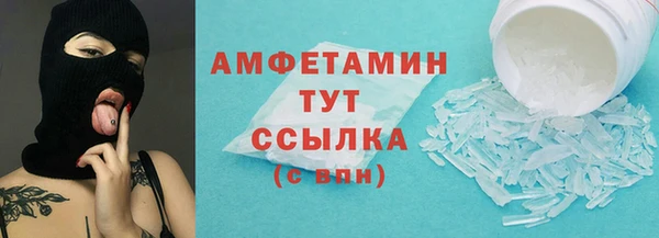 хмурый Алексин