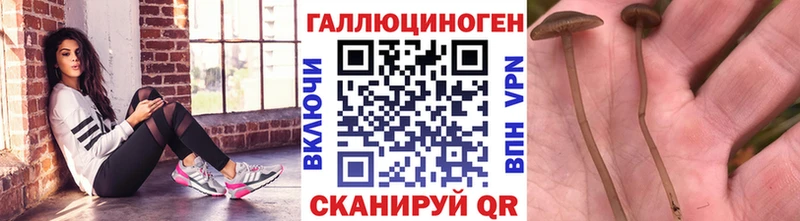 Псилоцибиновые грибы Magic Shrooms  Рубцовск 