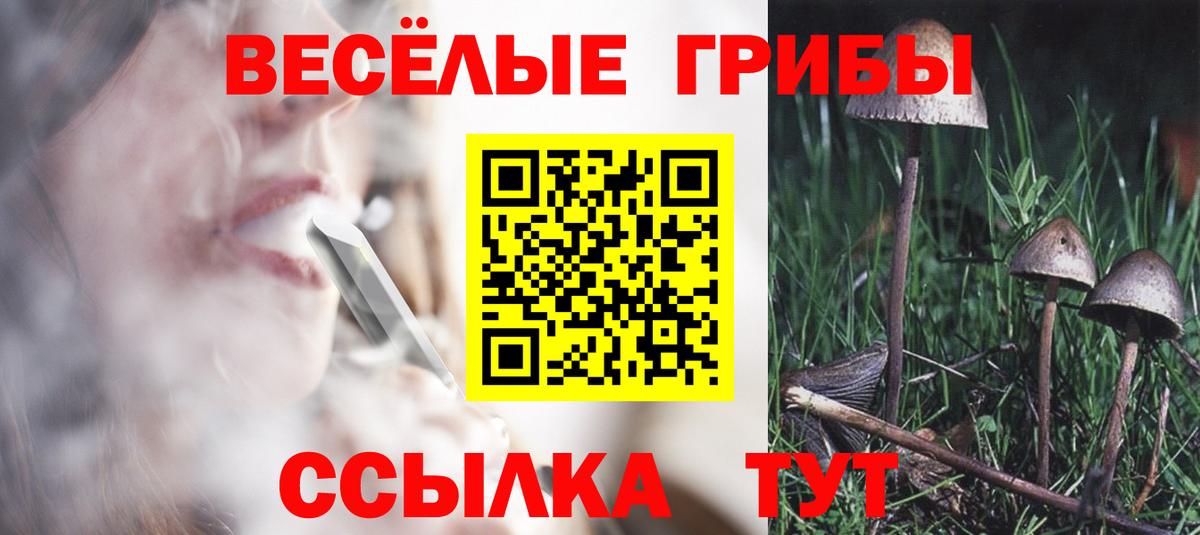 Псилоцибиновые грибы ЛСД Рубцовск
